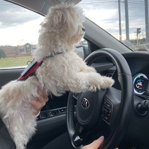 Meet your Posher, Kerry